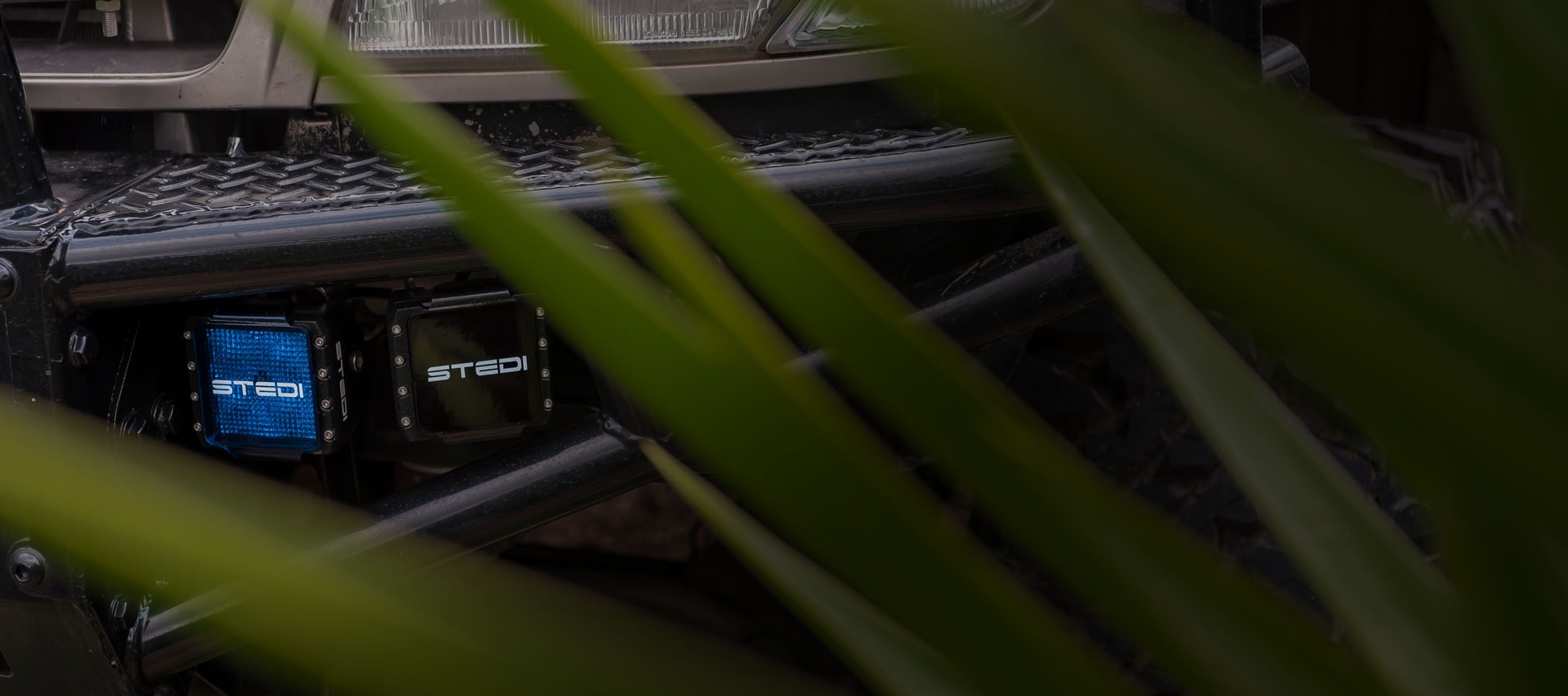 STEDI C-4 Black Edition